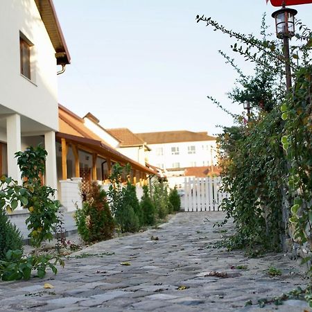 Pensiunea Rustic Hunedoara Bagian luar foto